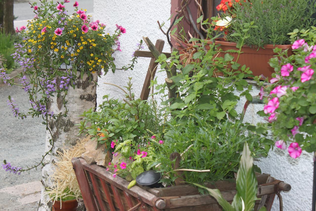 Pension Und Restaurant Die Burg Ehrenfriedersdorf ภายนอก รูปภาพ
